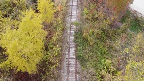 ojo de pájaro aéreo volando sobre el ferrocarril entre los árboles junto a la carretera, paisaje de otoño