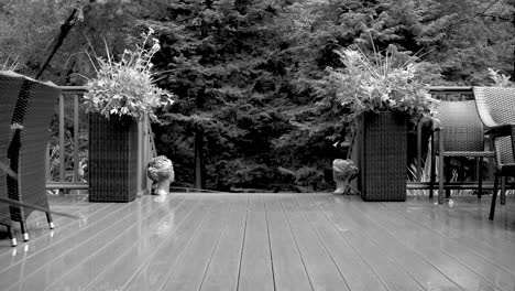 view of a lush forest from a beautiful deck