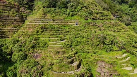 Drone-footage-of-sunny-rice-terraces-in-north-Philippines