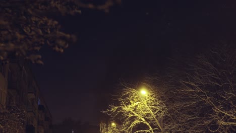 low angle shot of park in winter while snowing at night