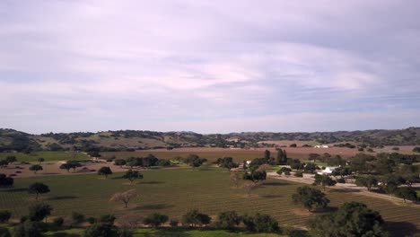 Aerial:-vineyard-in-Solvang-California-countryside-on-overcast-cloudy-day