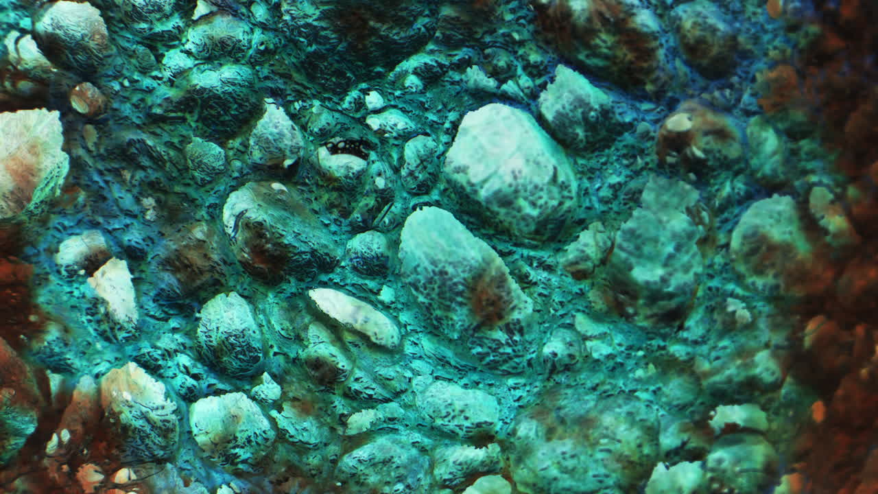 Close-up view of a textured mineral surface with turquoise and blue hues