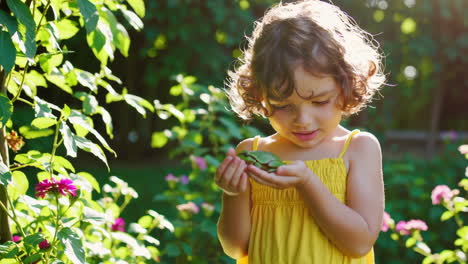 little girl holding a frog in a sunny garden