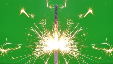 sparkler.vertical view on green screen.