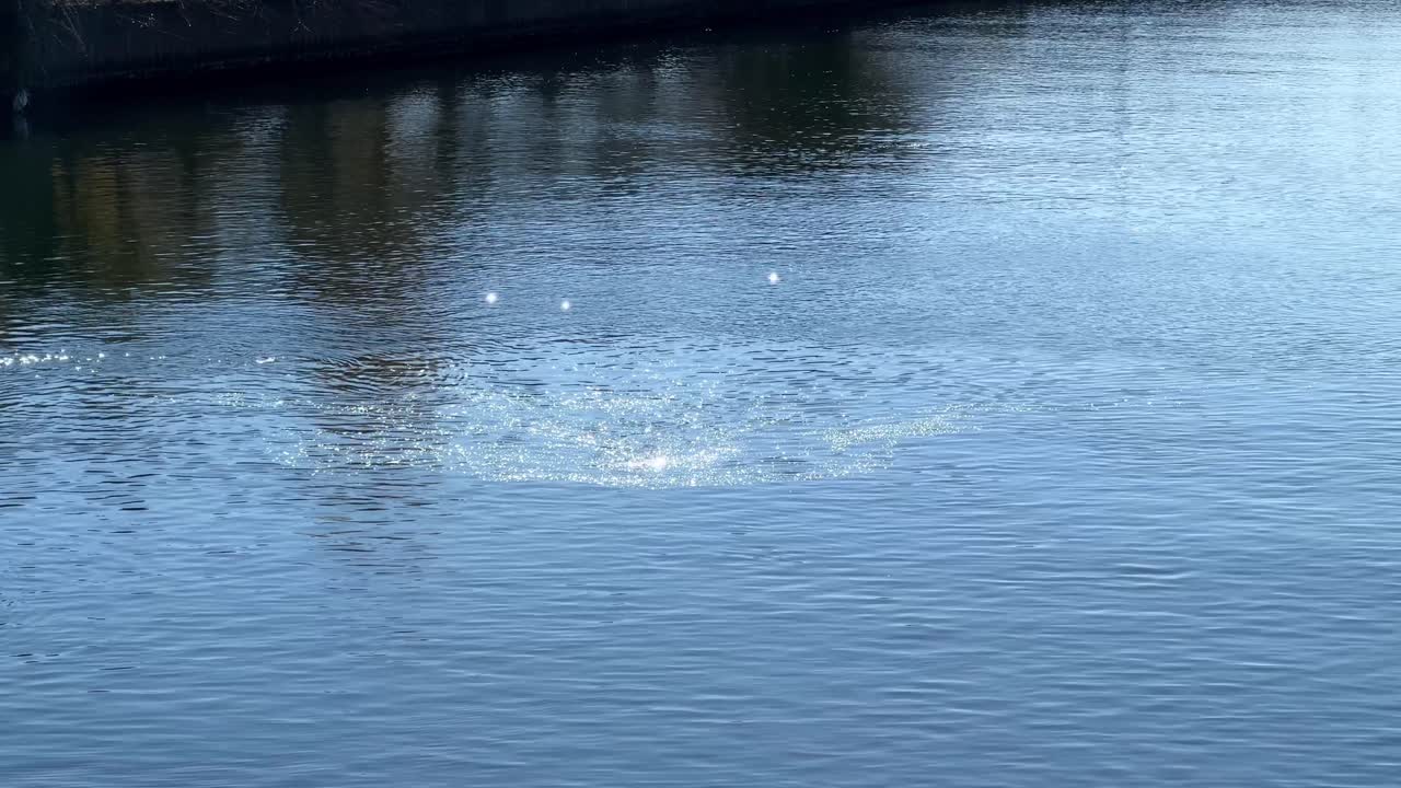 일본 도쿄의 한 운하에서 은 하늘 아래 방울이 침착한 표면을 방해합니다.