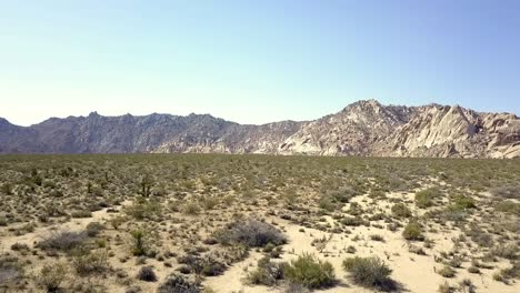 para un documental sobre el desierto y su forma de vida