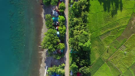 Scooter-riding-along-tropical-coast-of-Camiguin-Philippines,-overhead-follow-aerial