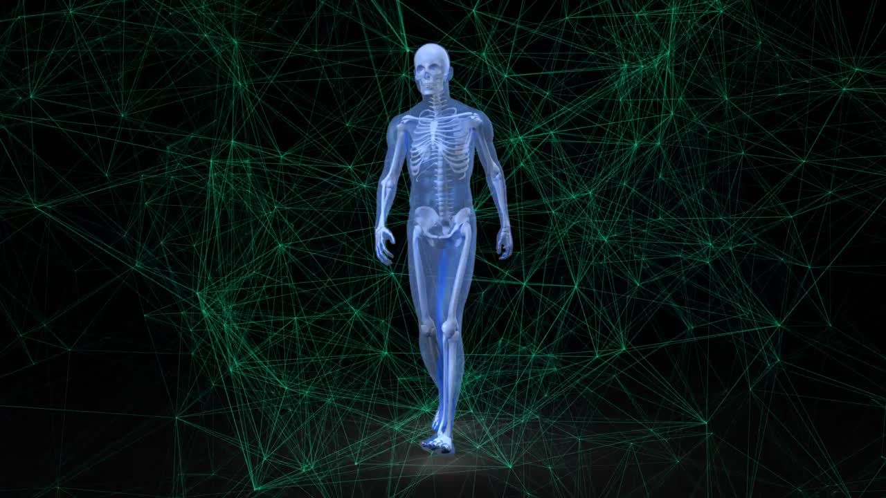 animación de la red de conexiones a través de humanos digitales