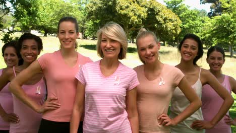 group of women wearing pink for breast cancer in the park