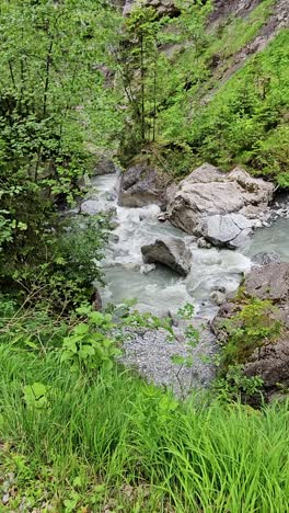 Static-vertical-shot-of-small-water-stream-in-the-middle-of-the-forest-in-Switzerland