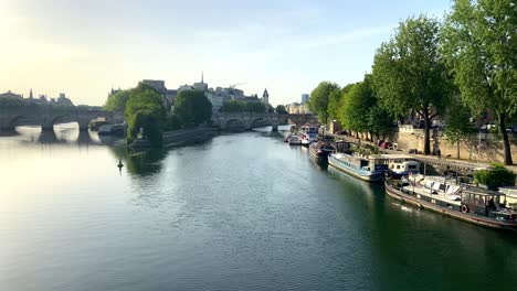 ile de la cite in the seine river seen from passerelle des arts in paris, france