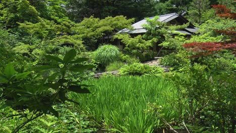 still general view japanese garden with lake