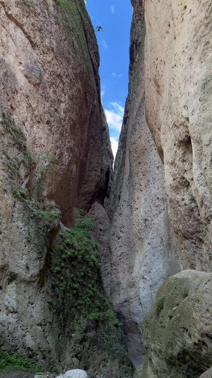 Una toma vertical en contrapicado mirando hacia arriba a través de un cañón muy estrecho con paredes rocosas empinadas y parches de musgo verde bajo un cielo azul brillante.