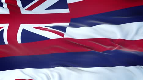 hawaii (u.s. state) flag waving in the wind with highly detailed fabric texture. seamless loop