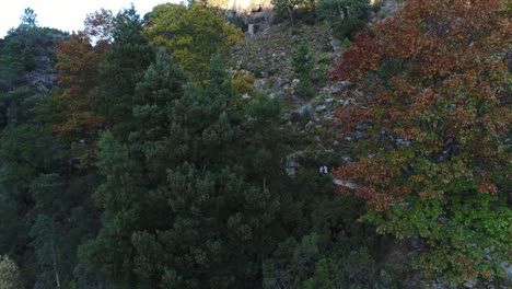 Pareja-Caminando-En-La-Naturaleza-Vista-Aérea