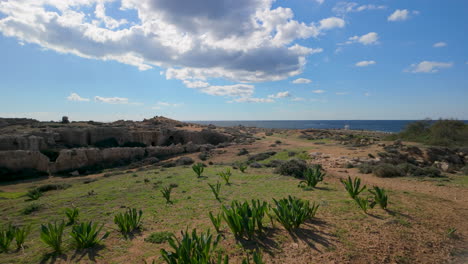 Una-Toma-Amplia-De-Las-Tumbas-De-Los-Reyes-En-Pafos,-Que-Muestra-Antiguas-Estructuras-De-Piedra-Rodeadas-De-Vegetación-Y-Un-Cielo-Azul-Claro.