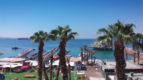 panoramic view of a vibrant coastal resort with a marina full of colorful boats and palm trees under a clear blue sky