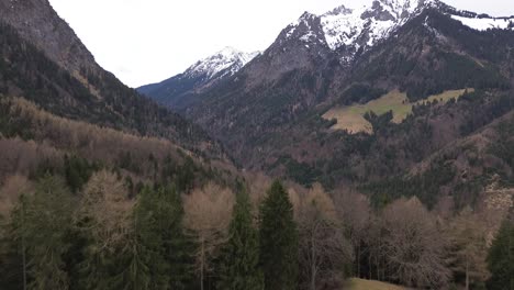 Aerial-view-of-forest-with-snow-covered-mountains-in-background,-drone-shot-of-summit-cross-in-Austria