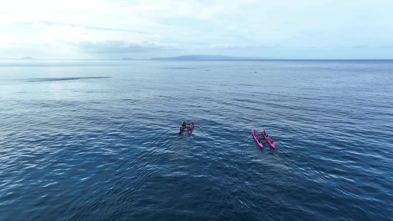 두 개의 분홍색 카누가 바다로 노를 젓다