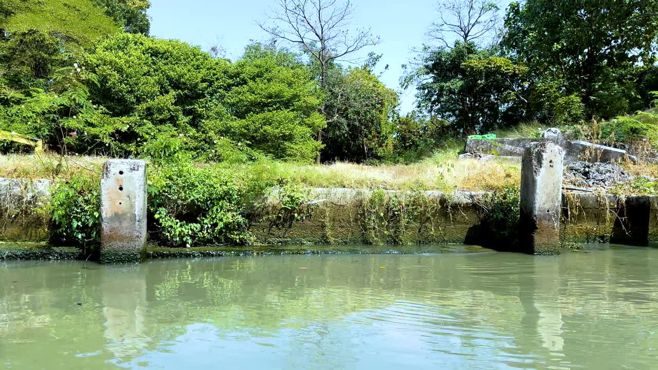 방의 울창한 운하를 따라 조용한 보트 타기, 밝은 낮빛 아래 활기찬 초록색과 조용한 물을 보여주는