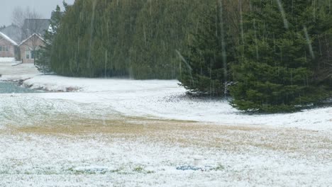 a downpour of hail falling onto a backyard of a house in a rural neighborhood with a pond and pine trees in the background