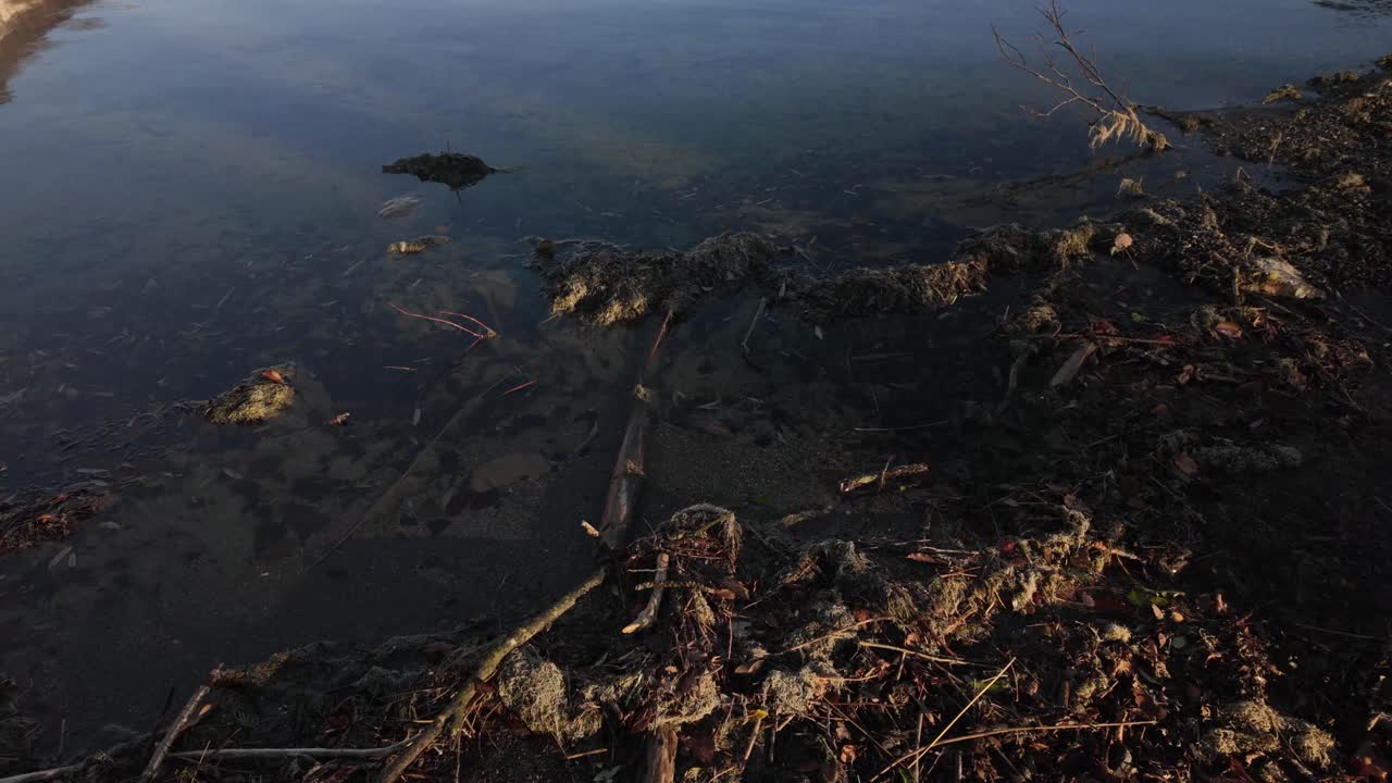 Muddy shallow water oil-soaked lake Walen Switzerland up-close dirty