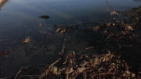 muddy shallow water oil-soaked lake walen switzerland up-close dirty