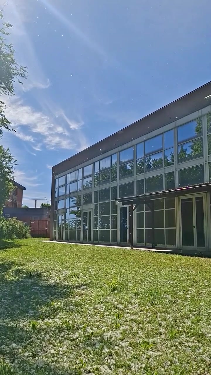 Toma vertical de un edificio moderno de cristal con pelusa de álamo flotando en el aire.