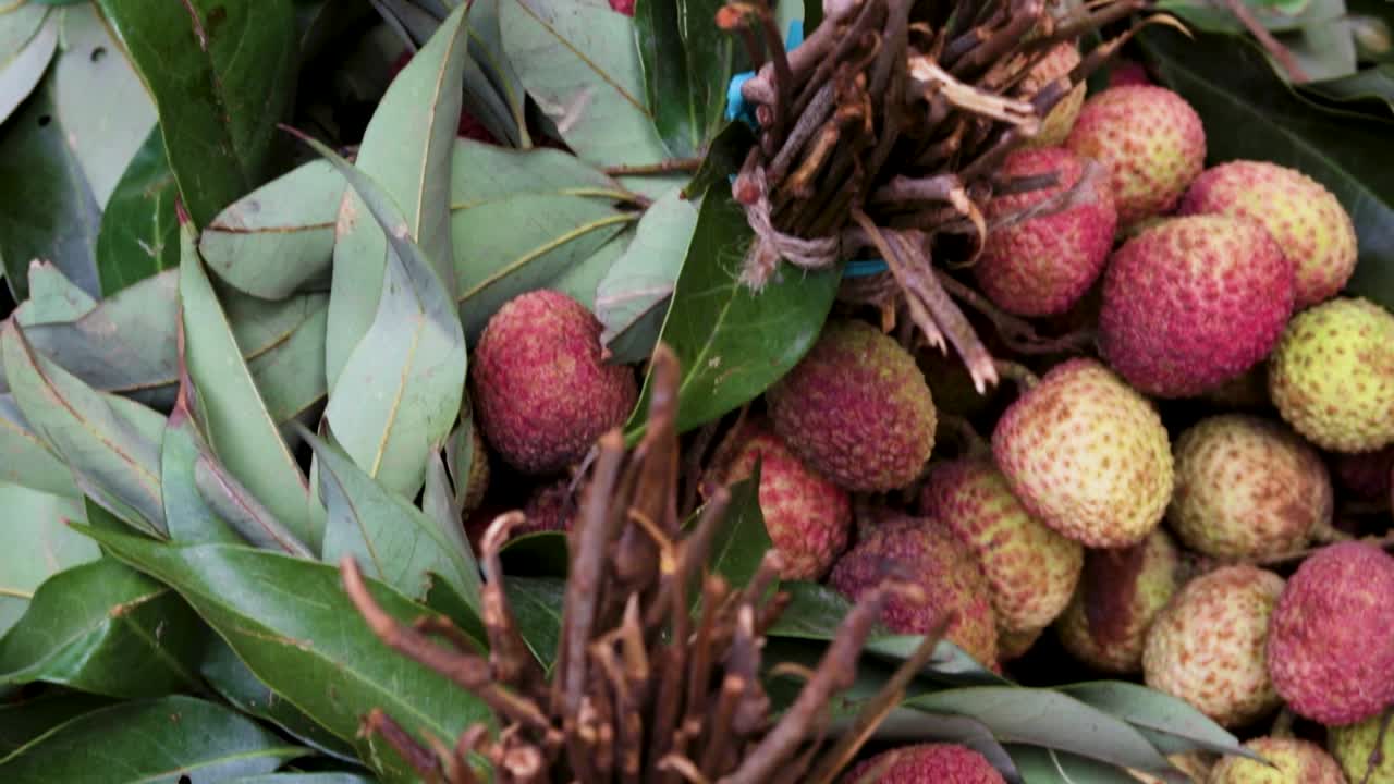 bungkus litchi organik segar dari peternakan dekat dari sudut yang berbeda