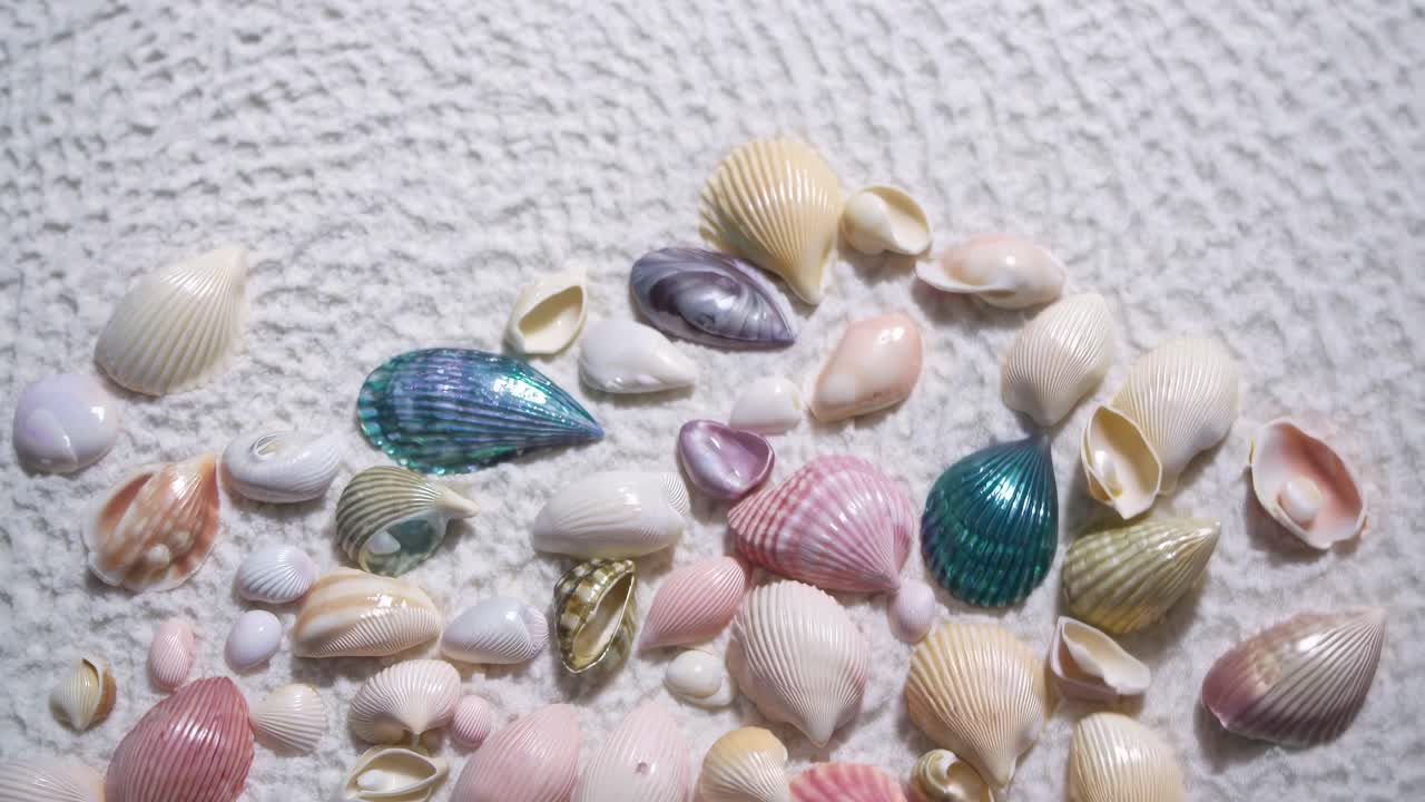 Top-down view of colorful seashells on textured fabric, showcasing a serene and natural aesthetic