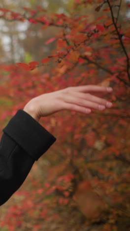 elegante dama con boina amarilla y silenciador camina por el camino de otoño, tocando delicadamente las hojas rojas vibrantes, disfrutando de la belleza y la tranquilidad de la naturaleza