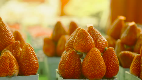 fresas a la venta en el mercado de un agricultor local