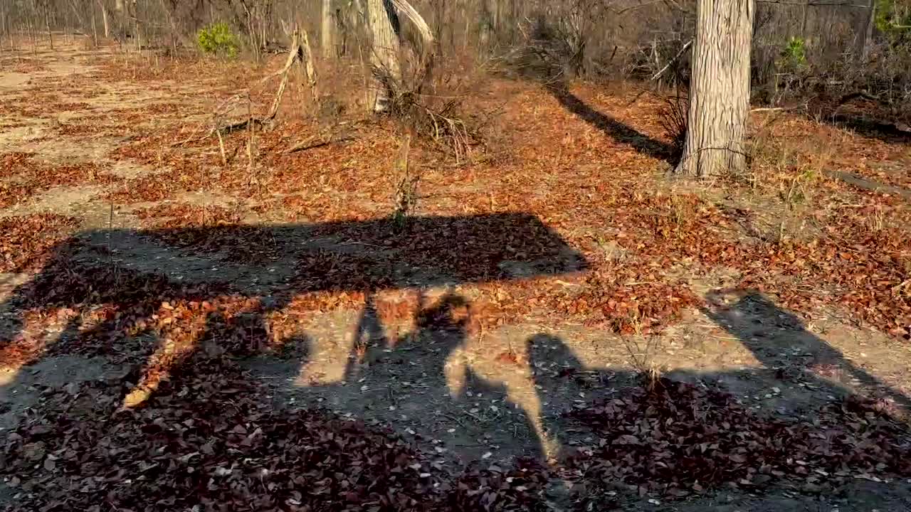 말라위 리완데 국립공원 지상에서 움직이는 사파리 차량의 그림자.