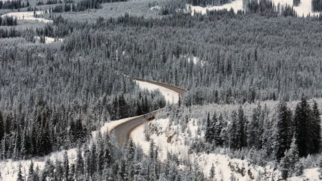 Der-Immergrüne-Mantel-Der-Kootenays:-Eine-Verschneite-Waldszene