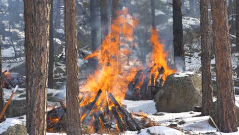 Reducción-De-Peligros-Quema-En-Un-Bosque-Durante-El-Invierno