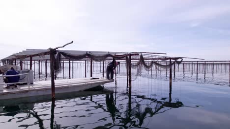de un pequeño bote blanco disparado cerca de campos de ostras con dos pescadores a bordo, uno de los cuales está arrastrando redes de ostras, unas pocas olas en el agua, cielo nublado