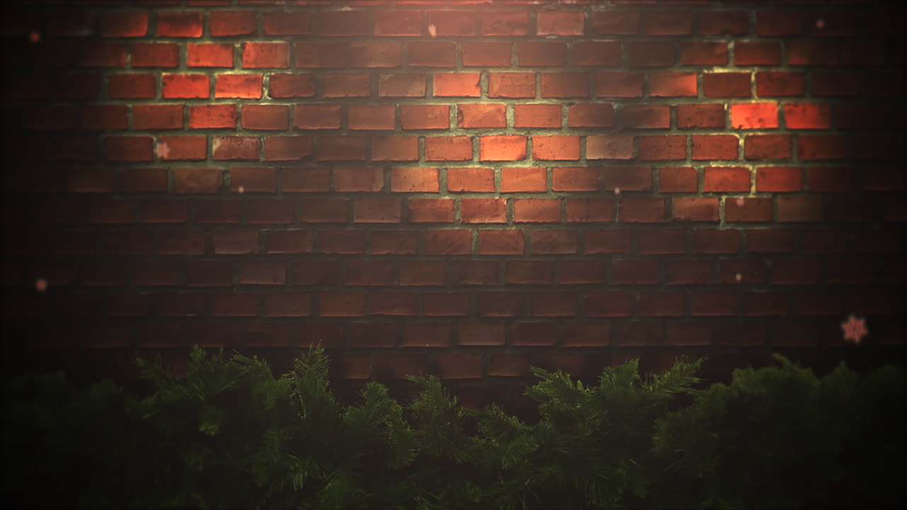 애니메이션 근접 촬영 추상 보케와 크리스마스 녹색 나뭇가지 3