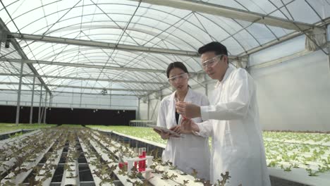 team agricultural scholars or scientist in sterile clothes, use wireless tablet, record with testing chemical or solution and quality water for feeding a organic plant vegetable in greenhouse at hydroponic farm.