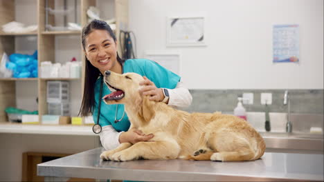 portrait of woman, vet and happy dog on table