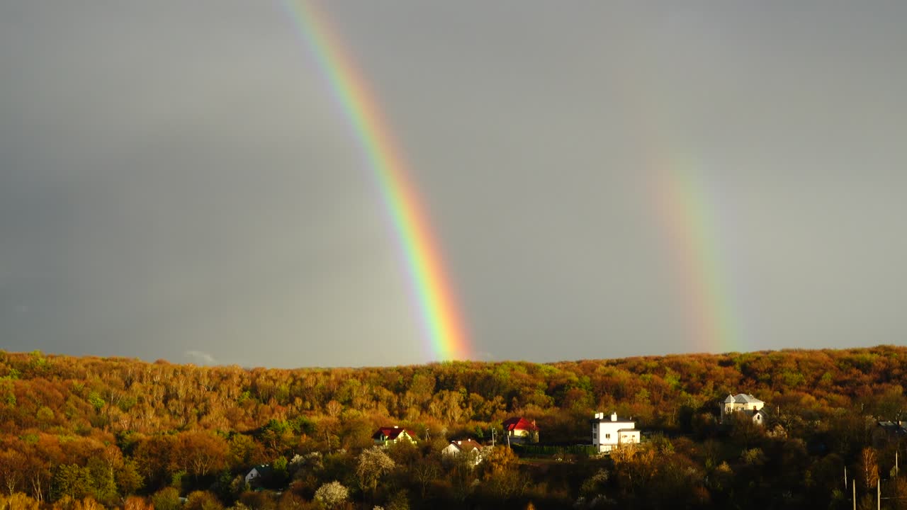 arco iris en el cielo después de la lluvia sobre el bosque.
