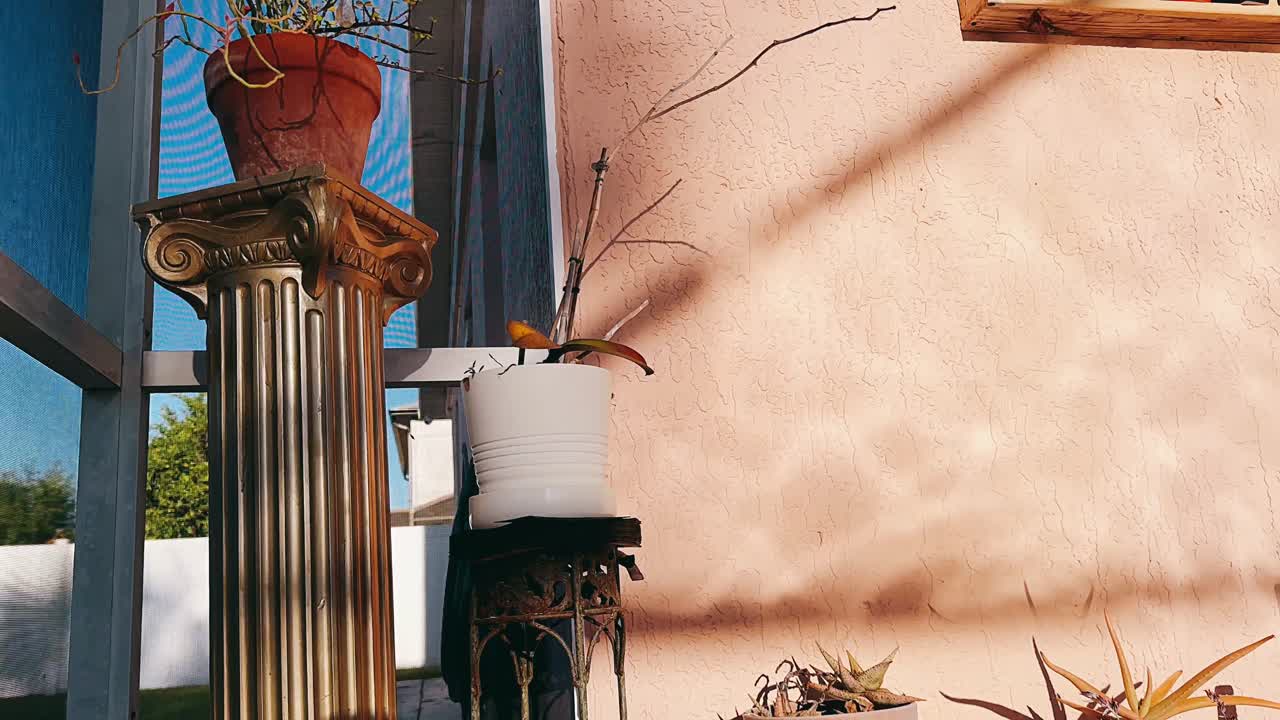 patio empapado de sol con plantas decorativas y columnas