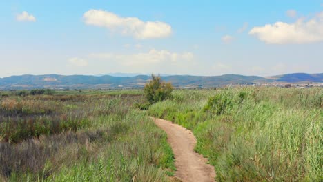 pov gimbal shot of beautiful hike path in the nature with grass fields and mountains on sunny summer day