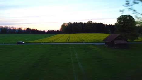 Following-cars-driving-through-corn-fields