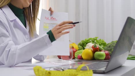 female nutritionist shows and explains diet plan to her patient in remote video chat.