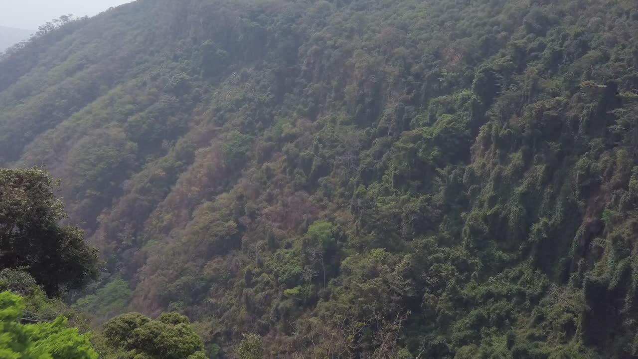 vuelo aéreo a un bosque verde denso y brumoso y paredes profundas del cañón del abismo