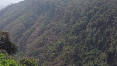 Aerial-flight-to-misty-dense-green-forest-and-deep-chasm-canyon-walls