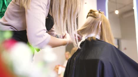 haircut in a salon