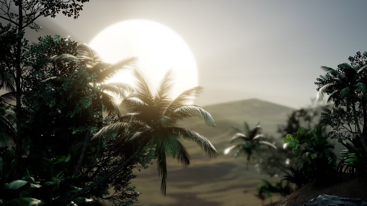 코코  ⁇  나무 열대 풍경