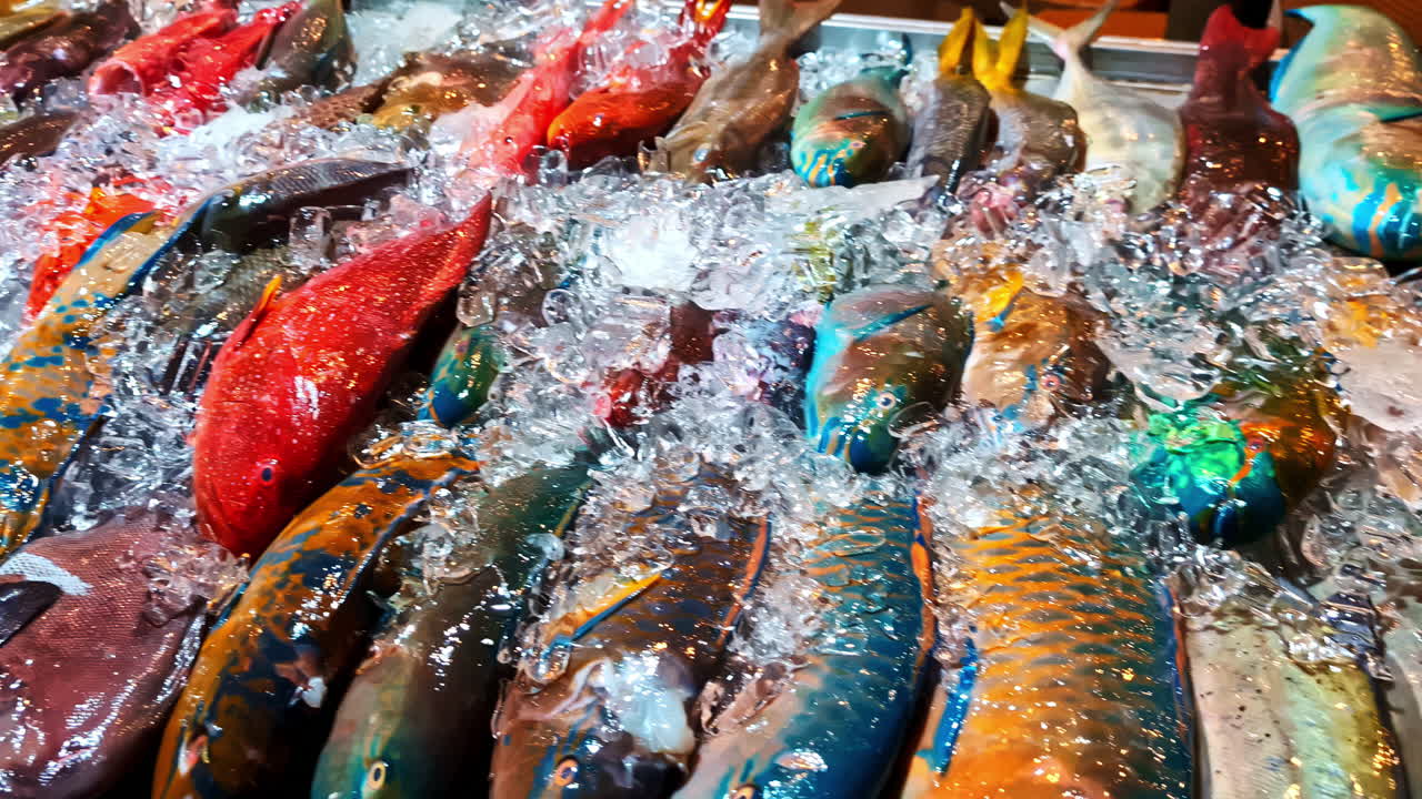 A vibrant assortment of freshly caught colorful tropical reef fish, including parrotfish, displayed on a bed of crushed ice for sale at a local seafood market in Indonesia