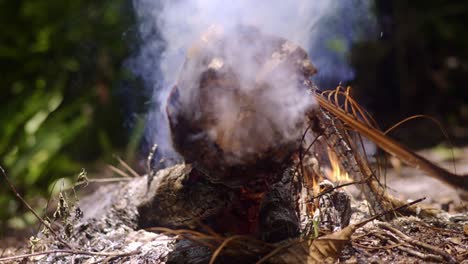tree log burning small fire, emitting white smoke
